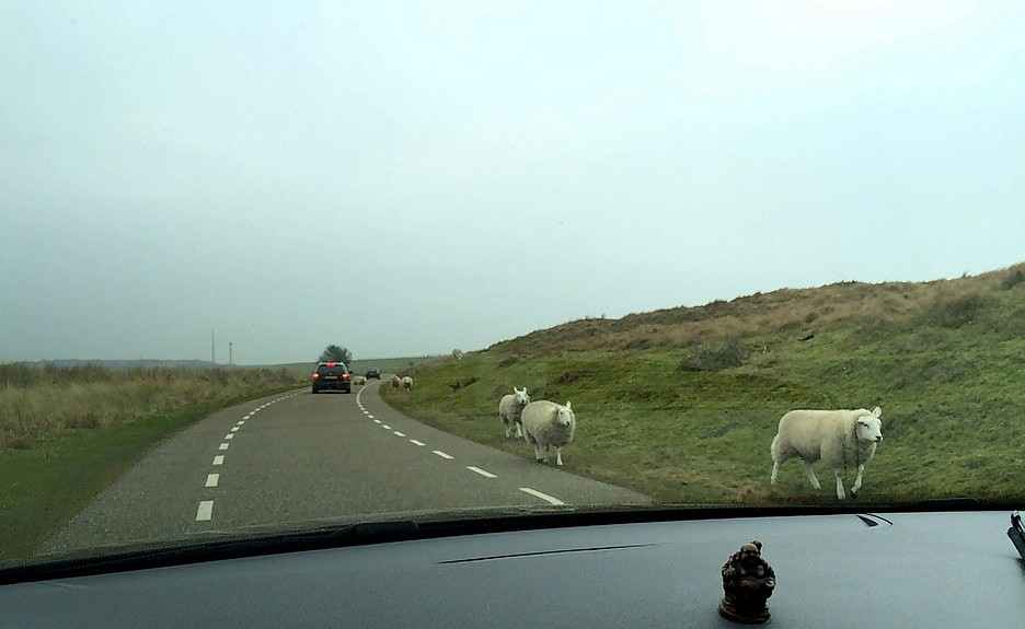 n_Foto 15-02-15 13 15 37.jpg